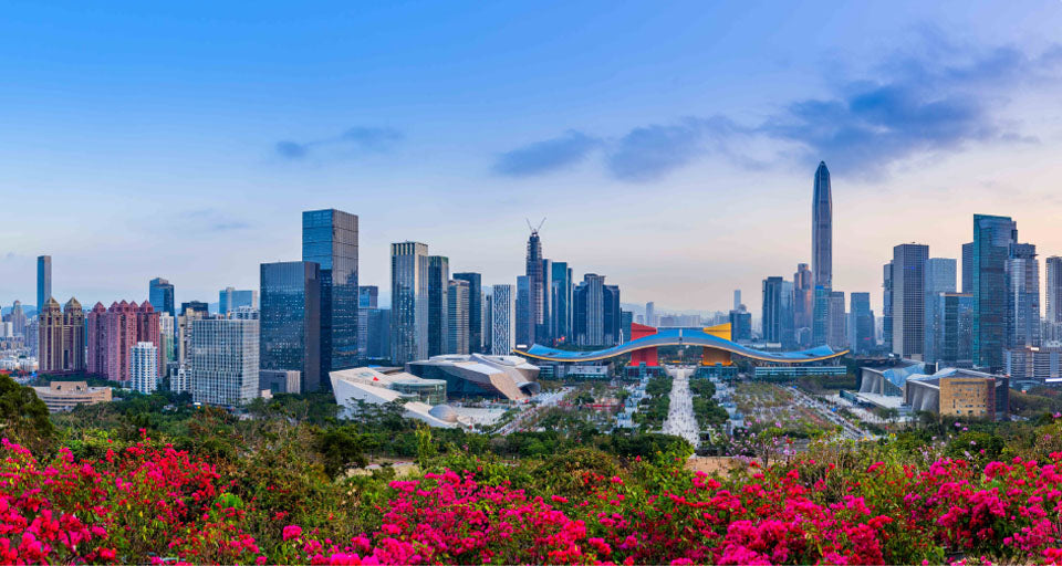 Image of Shenzhen Futian District Government